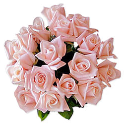 Valentine’s Day Flowers | Prestige Flowers | Fast Delivery
