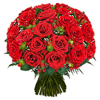 12 Red Roses  Prestige Flowers
