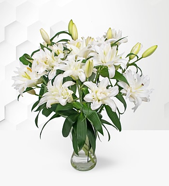 Double Flowering Lilies | Prestige Flowers
