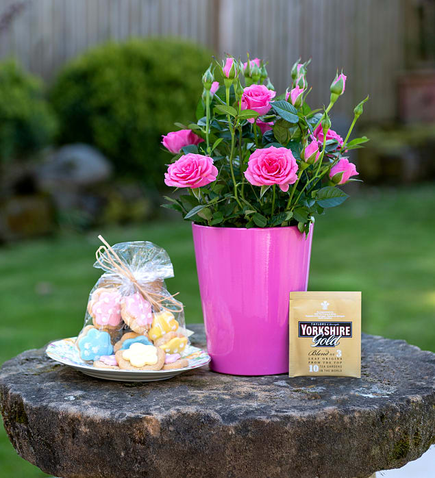 Rose Tea Garden Prestige Flowers