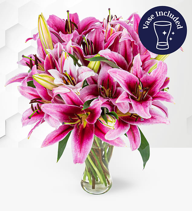 Stargazer Lilies & FREE Vase Medium