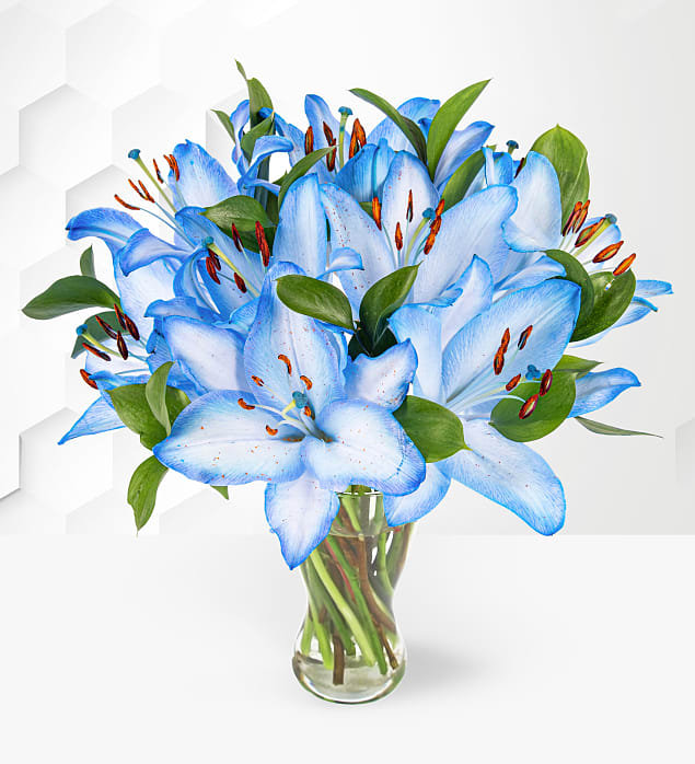 Blue Summer Lilies