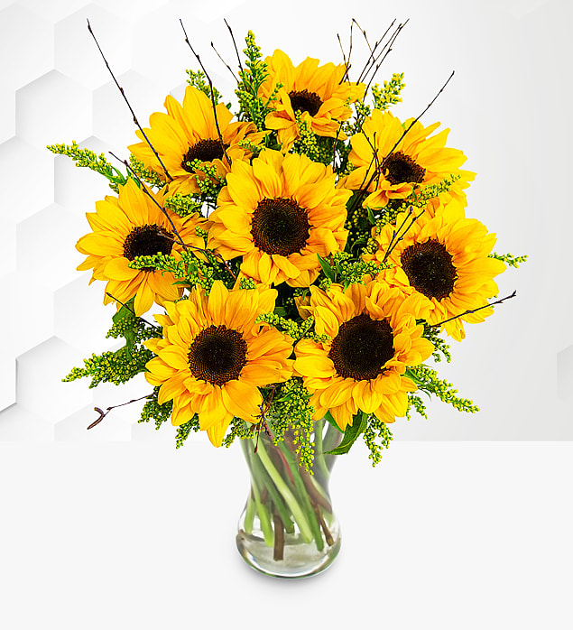 Sensational Sunflowers