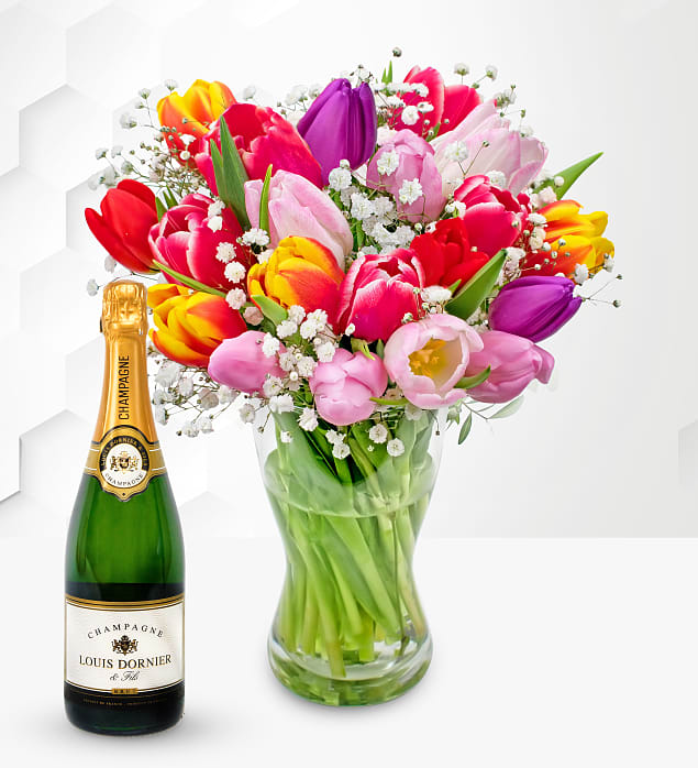 Tulip Supreme & Champagne