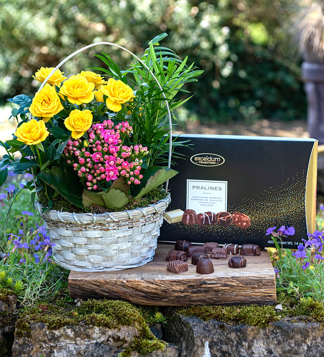 Basket in Bloom Gift Prestige Flowers