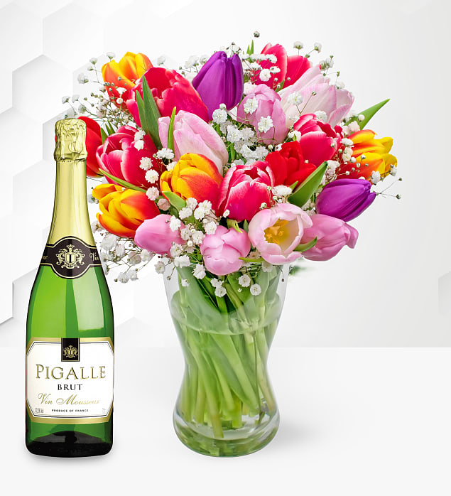Tulip Supreme With Pigalle