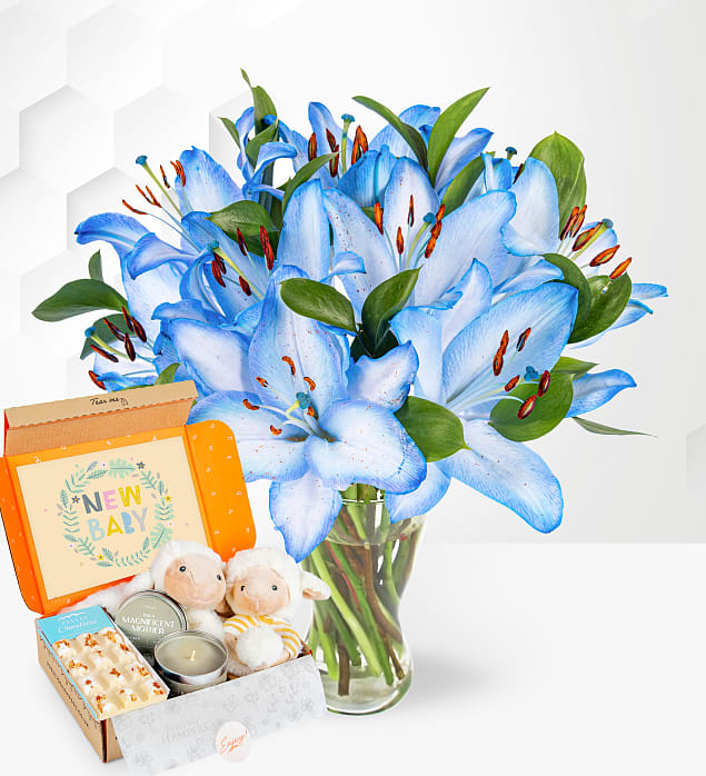 Ocean Lilies & New Baby Gift